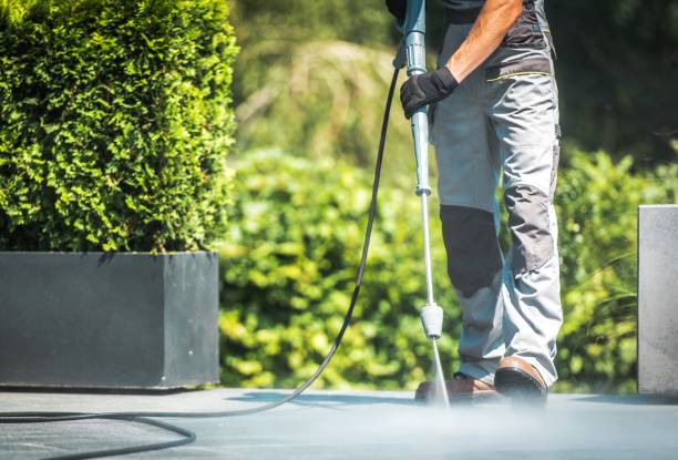 Best Fence Cleaning  in Esparto, CA
