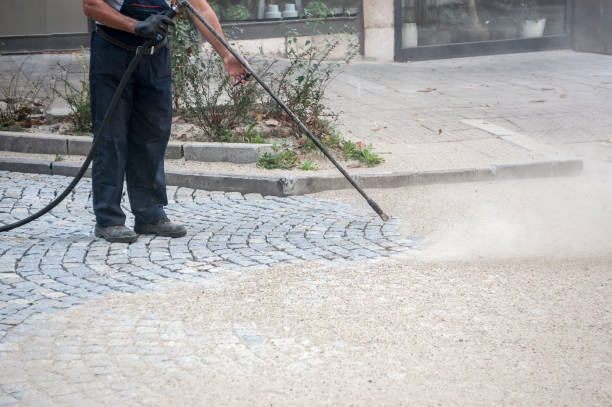 Best Pre-Holiday Cleaning  in Esparto, CA