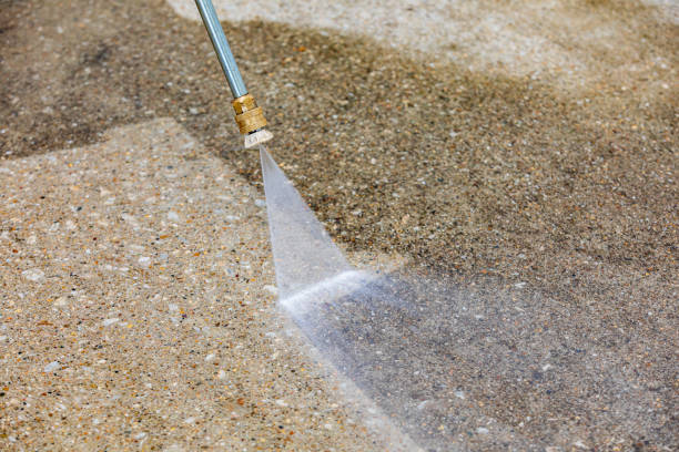 Best Driveway Pressure Washing  in Esparto, CA